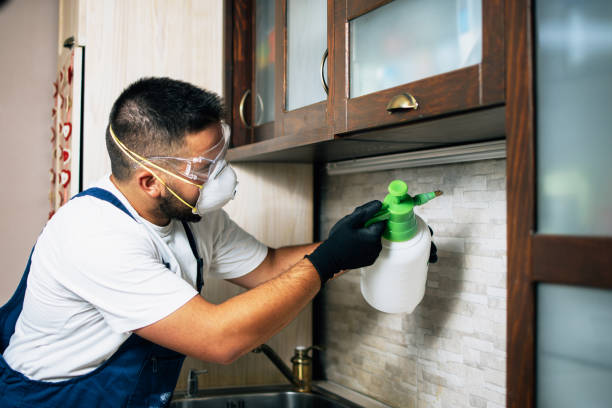 Best Rat Extermination Near Me  in South Wilton, CT