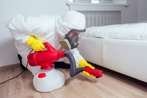 Best Pest Control Near Me  in South Wilton, CT