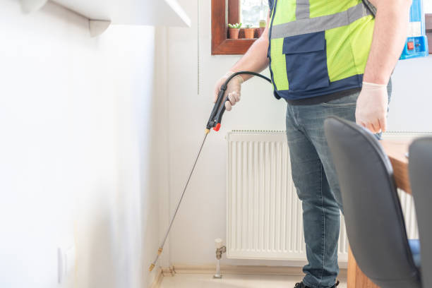 Best Flea Control Services  in South Wilton, CT