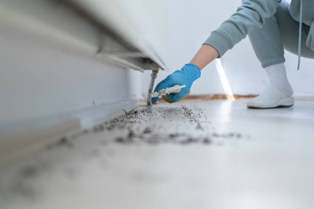 Best Best Pest Control Companies  in South Wilton, CT